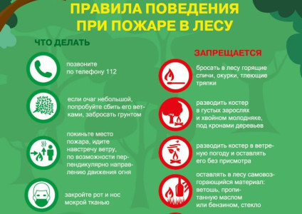 Внимание! Сложная обстановка с пожарами в экосистемах!