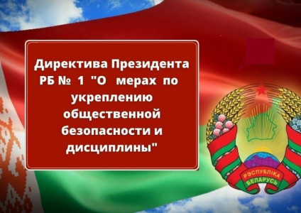 Маніторынг рэалізацыі патрабаванняў Дырэктывы №1