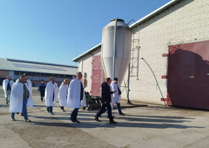 СПУ «Доманово» посетила делегация аграриев из Новосибирской области