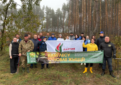 11 октября в Беларуси стартовала добровольная общественная акция «Дай лесу новае жыццё!»