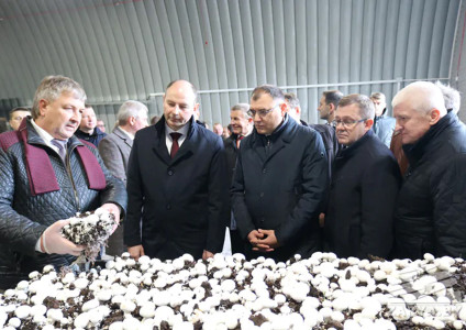 В Ивацевичском районе открыли цех по производству покровных грунтов для выращивания шампиньонов